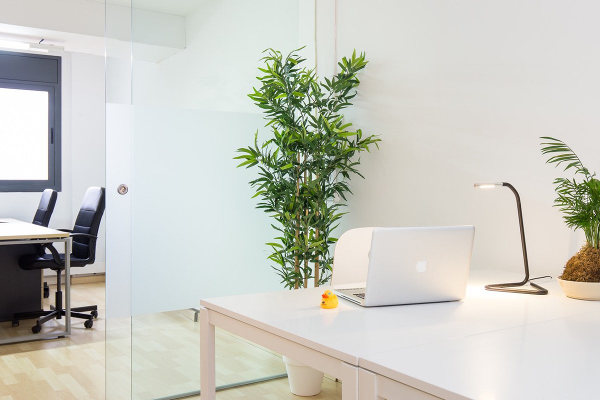 MAUI Beach Coworking in El Poblenou